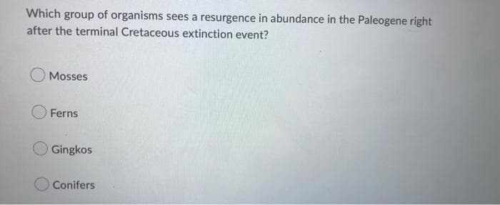 Which group of organisms sees a resurgence in abundance in the Paleogene right
after the terminal Cretaceous extinction event?
Mosses
Ferns
Gingkos
Conifers
