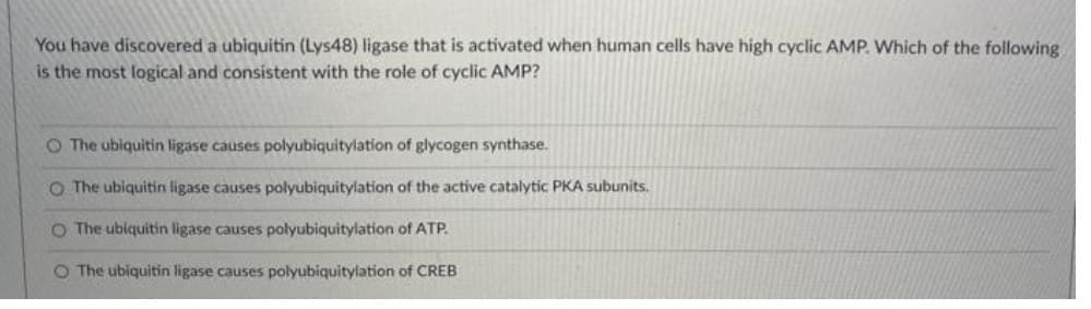 You have discovered a ubiquitin (Lys48) ligase that is activated when human cells have high cyclic AMP. Which of the following
is the most logical and consistent with the role of cyclic AMP?
O The ubiquitin ligase causes polyubiquitylation of glycogen synthase.
O The ubiquitin ligase causes polyubiquitylation of the active catalytic PKA subunits.
O The ubiquitin ligase causes polyubiquitylation of ATP.
The ubiquitin ligase causes polyubiquitylation of CREB
