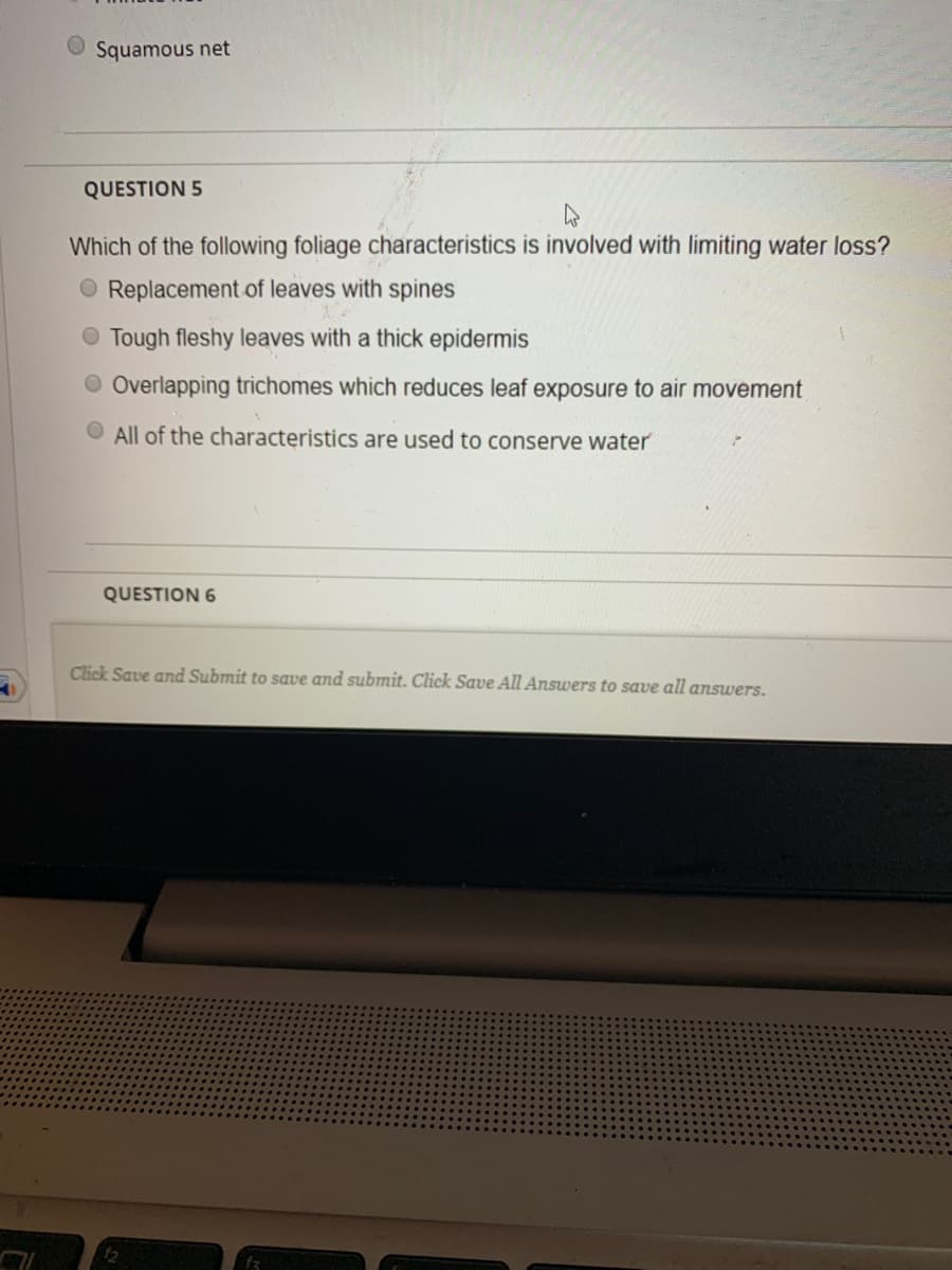 Squamous net
QUESTION 5
Which of the following foliage characteristics is involved with limiting water loss?
O Replacement of leaves with spines
O Tough fleshy leaves with a thick epidermis
O Overlapping trichomes which reduces leaf exposure to air movement
O All of the characteristics are used to conserve water
QUESTION 6
Click Save and Submit to save and submit. Click Save All Answers to save all answers.
