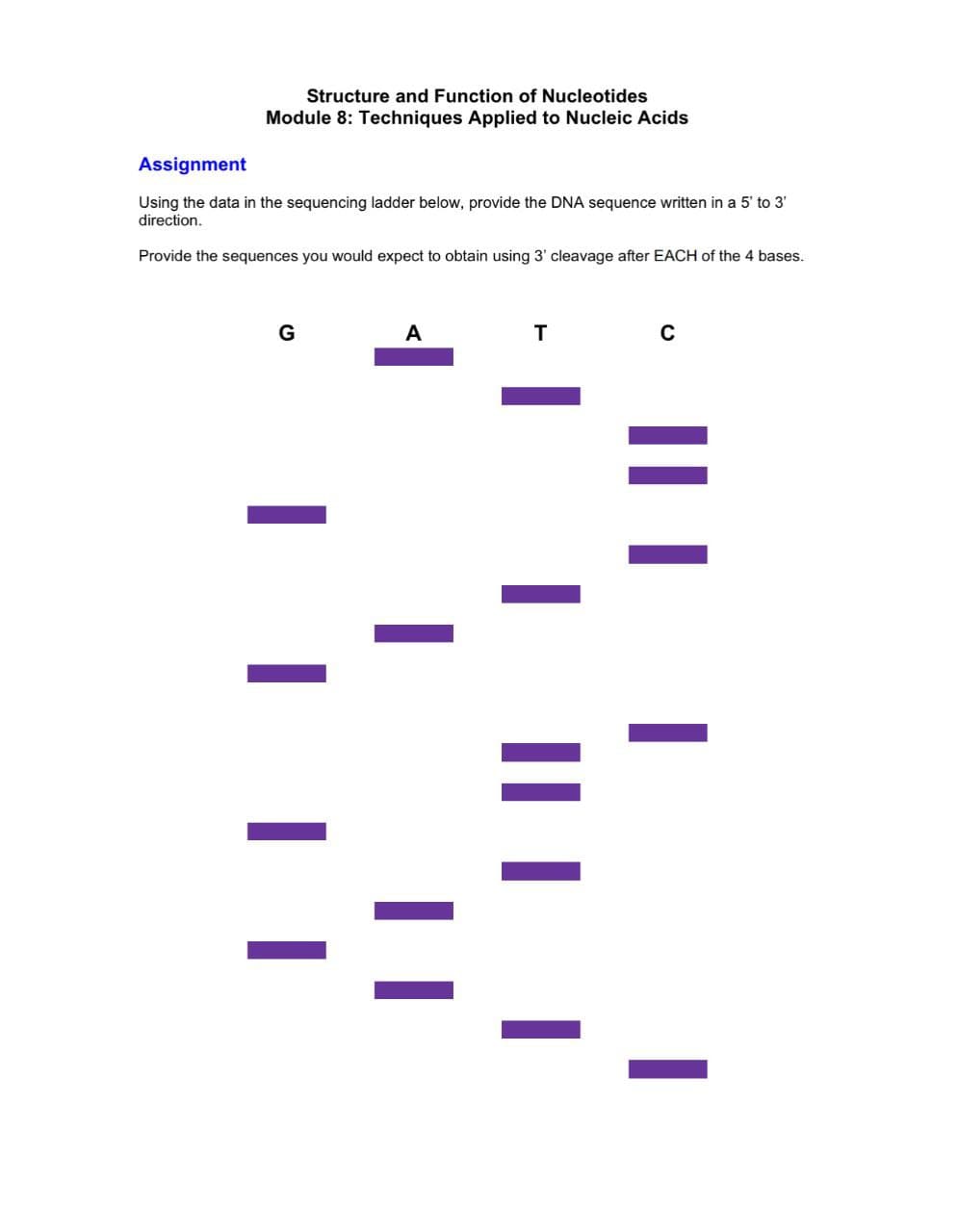 Assignment
Structure and Function of Nucleotides
Module 8: Techniques Applied to Nucleic Acids
Using the data in the sequencing ladder below, provide the DNA sequence written in a 5' to 3'
direction.
Provide the sequences you would expect to obtain using 3' cleavage after EACH of the 4 bases.
G
A
T
C
I