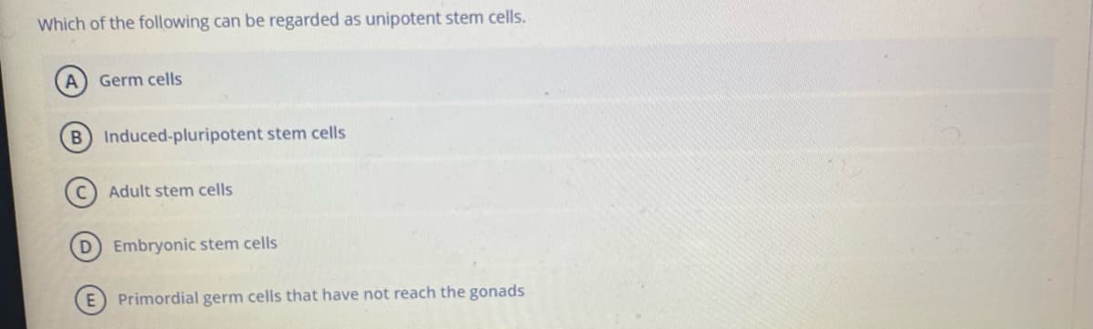 Which of the following can be regarded as unipotent stem cells.
Germ cells
B Induced-pluripotent stem cells
Adult stem cells
D Embryonic stem cells
Primordial germ cells that have not reach the gonads
