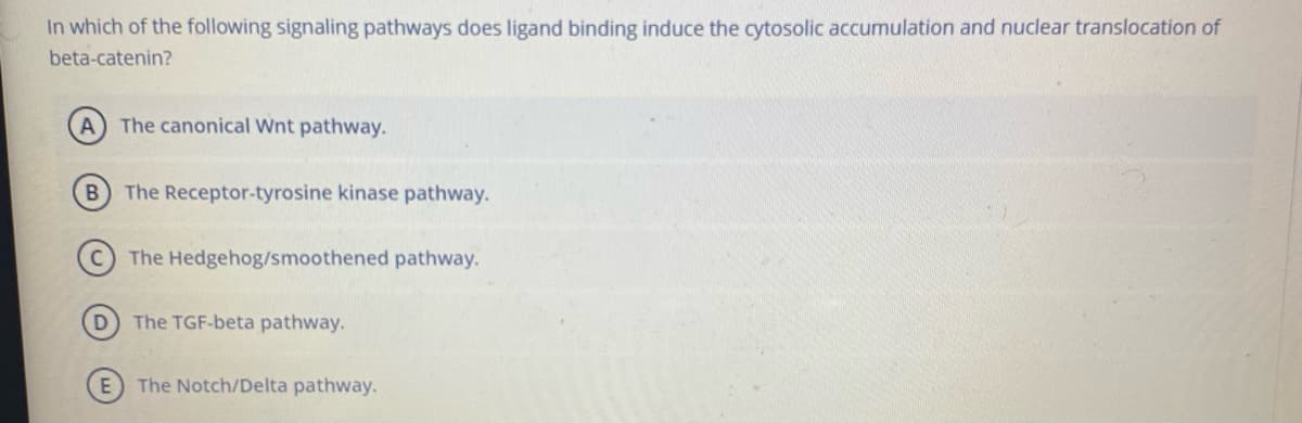 In which of the following signaling pathways does ligand binding induce the cytosolic accumulation and nuclear translocation of
beta-catenin?
The canonical Wnt pathway.
The Receptor-tyrosine kinase pathway.
The Hedgehog/smoothened pathway.
D
The TGF-beta pathway.
The Notch/Delta pathway.
