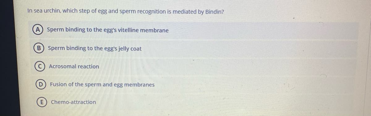 In sea urchin, which step of egg and sperm recognition is mediated by Bindin?
A) Sperm binding to the egg's vitelline membrane
B) Sperm binding to the egg's jelly coat
Acrosomal reaction
Fusion of the sperm and egg membranes
Chemo-attraction
