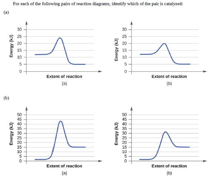 For each of the following pairs of reaction diagrams, identify which of the pair is catalyzed:
(a)
30
30
25
25
20
20
15
15
10
10
5
Extent of reaction
Extent of reaction
(a)
(b)
(b)
50
50
45
40
35
30
45
40
35
30
25
20
25
20
15
10
15
10
5
Extent of reaction
Extent of reaction
(a)
(b)
Energy (kJ)
Energy (kJ)
Energy (kJ)
Energy (kJ)
