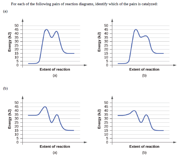 For each of the following pairs of reaction diagrams, identify which of the pairs is catalyzed:
(a)
50
50
45
40
35
30
45
40
35
30
25
20
15
15
10
10
Extent of reaction
Extent of reaction
(a)
(b)
(b)
50
50
45
40
45
40
35
30
25
15
15
10
10
Extent of reaction
Extent of reaction
(a)
(b)
Energy (kJ)
Energy (kJ)
Energy (kJ)
Energy (kJ)
