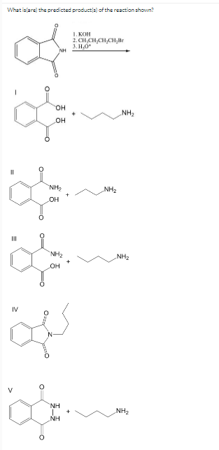 What islare) the predicted productis) of the reaction shown?
I. KOH
2. CH,CH,CH,CH,Br
3. H,0
но.
он
NH2
'NH2
NH2
OH
II
NH2
NH2
OH
IV
NH
NH2
NH
一
O
