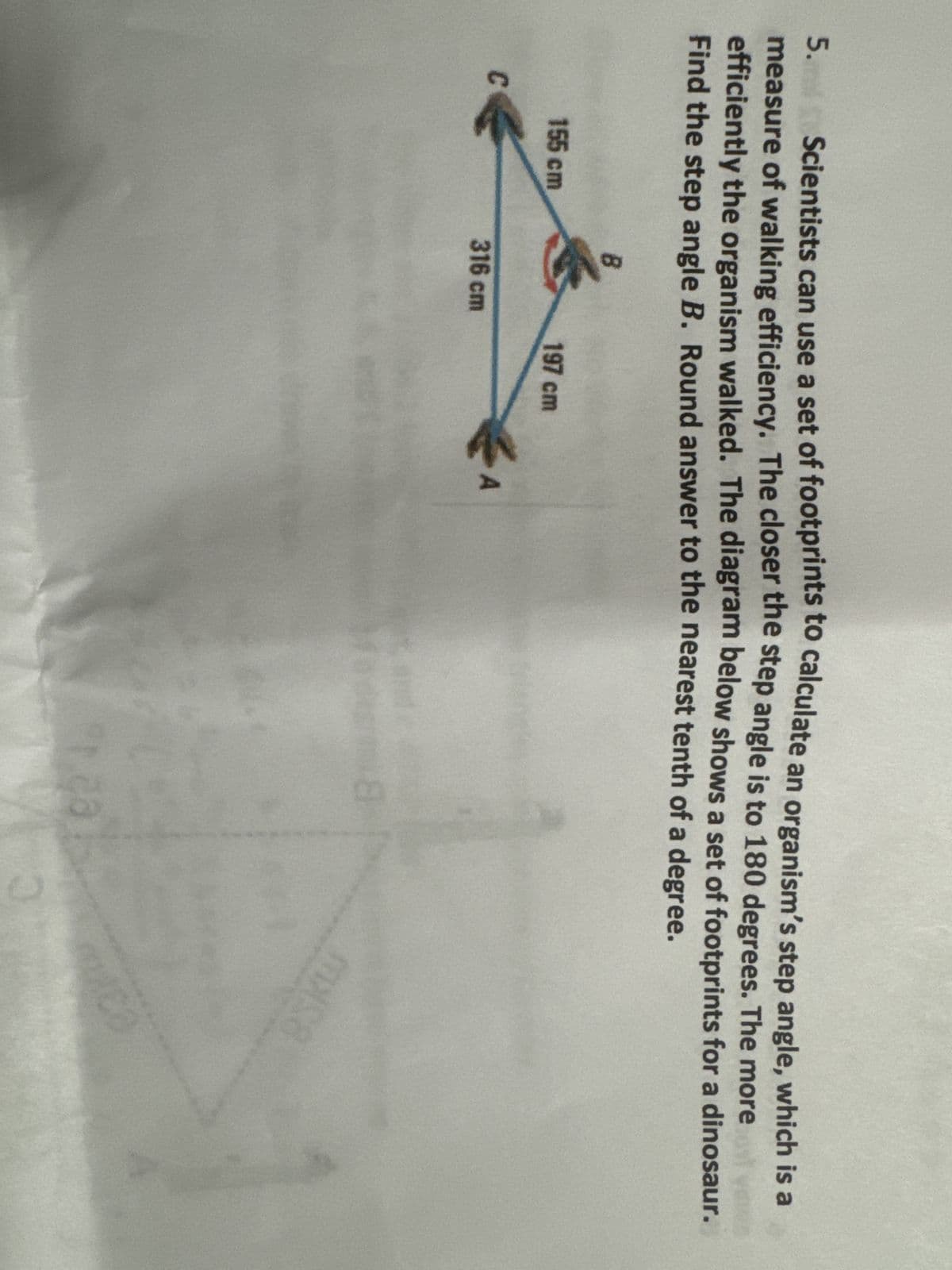 5. Scientists can use a set of footprints to calculate an organism's step angle, which is a
measure of walking efficiency. The closer the step angle is to 180 degrees. The more
efficiently the organism walked. The diagram below shows a set of footprints for a dinosaur.
Find the step angle B. Round answer to the nearest tenth of a degree.
C
155 cm
B
316 cm
197 cm
A
11
8
Frea
3
masa
muco