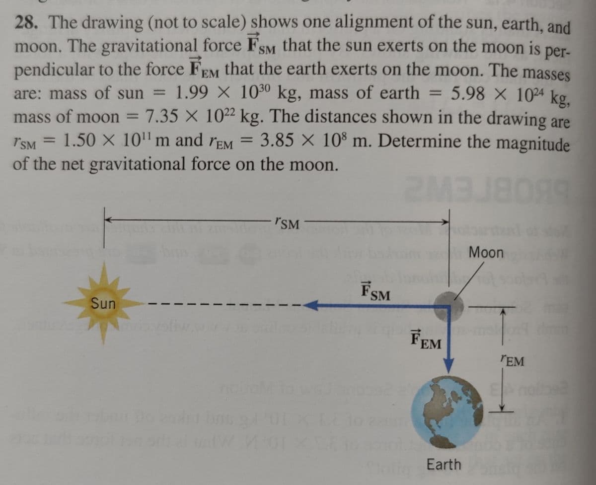 28. The drawing (not to scale) shows one alignment of the sun, earth, and
moon. The gravitational force FSM that the sun exerts on the moon is per-
pendicular to the force FEM that the earth exerts on the moon. The masses
are: mass of sun = 1.99 X 1030 kg, mass of earth
5.98 × 1024 kg,
mass of moon 7.35 X 1022 kg. The distances shown in the drawing are
1SM =
1.50 X 10¹¹ m and TEM
3.85 × 108 m. Determine the magnitude
of the net gravitational force on the moon.
2M3J8099
Sun
701
I
SM
FSM
=
FEM
Tolia Earth
Moon
TEM