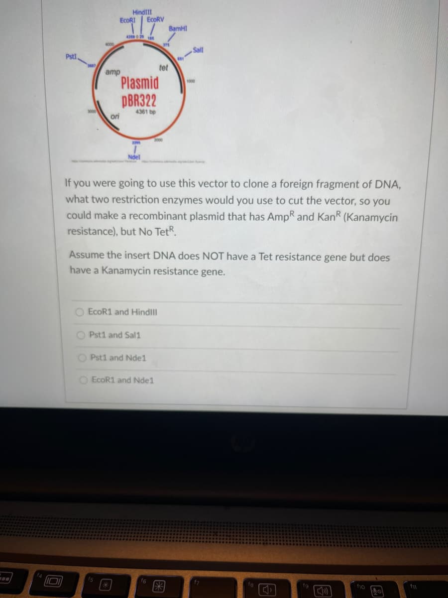 HindlII
ECORI
ECORV
BamHI
379
Sall
Pstl.
tet
amp
Plasmid
PBR322
1000
4361 bp
ori
Ndel
If you were going to use this vector to clone a foreign fragment of DNA,
what two restriction enzymes would you use to cut the vector, so you
could make a recombinant plasmid that has AmpR and KanR
(Kanamycin
resistance), but No TetR.
Assume the insert DNA does NOT have a Tet resistance gene but does
have a Kanamycin resistance gene.
O EcoR1 and Hindll
O Pst1 and Sal1
O Pst1 and Nde1
O EcoR1 and Nde1
f6
