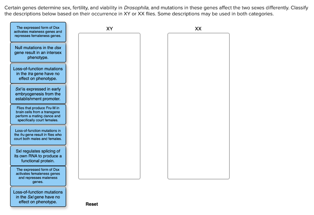 Certain genes determine sex, fertility, and viability in Drosophila, and mutations in these genes affect the two sexes differently. Classify
the descriptions below based on their occurrence in XY or XX flies. Some descriptions may be used in both categories.
The expressed form of Dsx
activates maleness genes and
represses femaleness genes.
XY
XX
Null mutations in the dsx
gene result in an intersex
phenotype.
Loss-of-function mutations
in the tra gene have no
effect on phenotype.
Sxl is expressed in early
embryogenesis from the
establishment promoter.
Flies that produce Fru-M in
brain cells from a transgene
perform a mating dance and
specifically court females.
Loss-of-function mutations in
the fru gene result in flies who
court both males and females.
Sxl regulates splicing of
its own RNA to produce a
functional protein.
The expressed form of Dsx
activates femaleness genes
and represses maleness
genes.
Loss-of-function mutations
in the Sxl gene have no
effect on phenotype.
Reset
