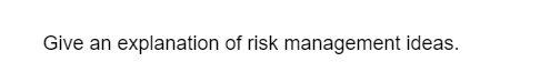 Give an explanation of risk management ideas.