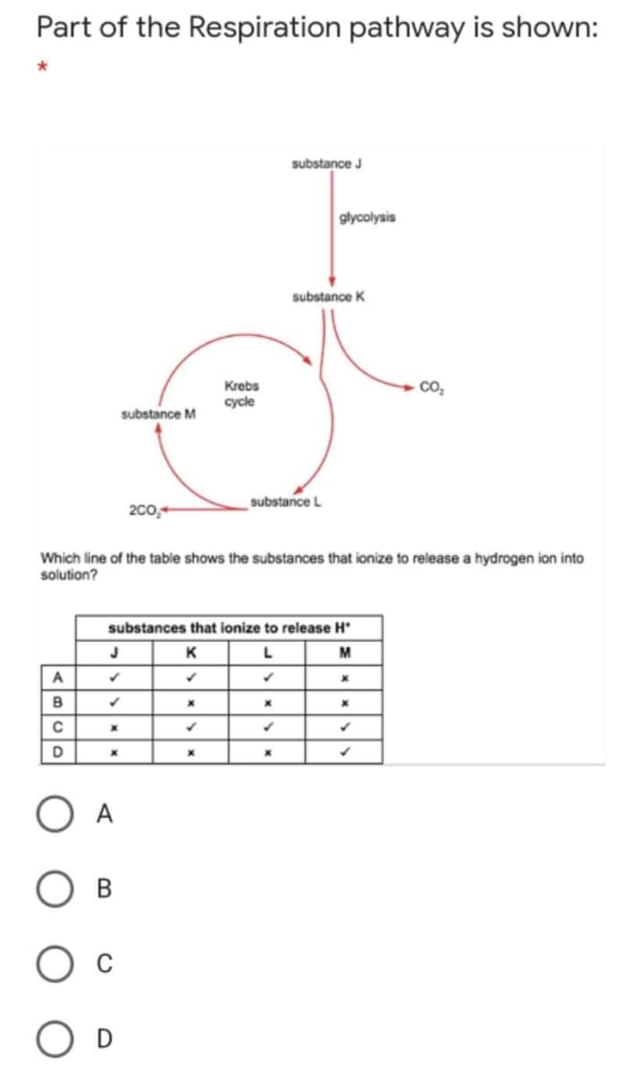 Part of the Respiration pathway is shown:
substance J
glycolysis
substance K
Krebs
cycle
substance M
substance L
200,+
Which line of the table shows the substances that ionize to release a hydrogen ion into
solution?
substances that ionize to release H*
K
M
A
D
O A
