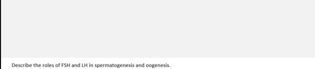 Describe the roles of FSH and LH in spermatogenesis and oogenesis.
