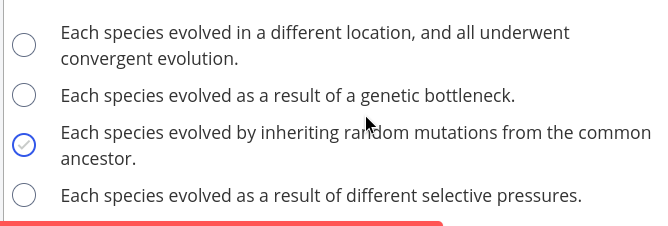 **Evolutionary Pathways of Species**

This question explores the different mechanisms through which species can evolve. There are four provided choices, each representing a distinct evolutionary pathway. The selected choice is marked with a blue checkmark.

1. **Convergent Evolution in Different Locations:**
   - Each species evolved in a different location, and all underwent convergent evolution.

2. **Genetic Bottleneck Impact:**
   - Each species evolved as a result of a genetic bottleneck.

3. **Random Mutations from a Common Ancestor: (Selected Choice)**
   - Each species evolved by inheriting random mutations from the common ancestor.

4. **Different Selective Pressures:**
   - Each species evolved as a result of different selective pressures.

**Explanation of Selected Choice:**
- The correct answer, indicated by the blue checkmark, is "Each species evolved by inheriting random mutations from the common ancestor." This implies that the species shared a common ancestor and diverged over time due to random genetic mutations. This is a foundational concept in evolutionary biology, illustrating how genetic variation contributes to the diversity of life forms observed today.