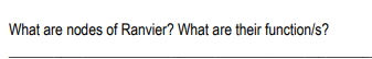 What are nodes of Ranvier? What are their function/s?
