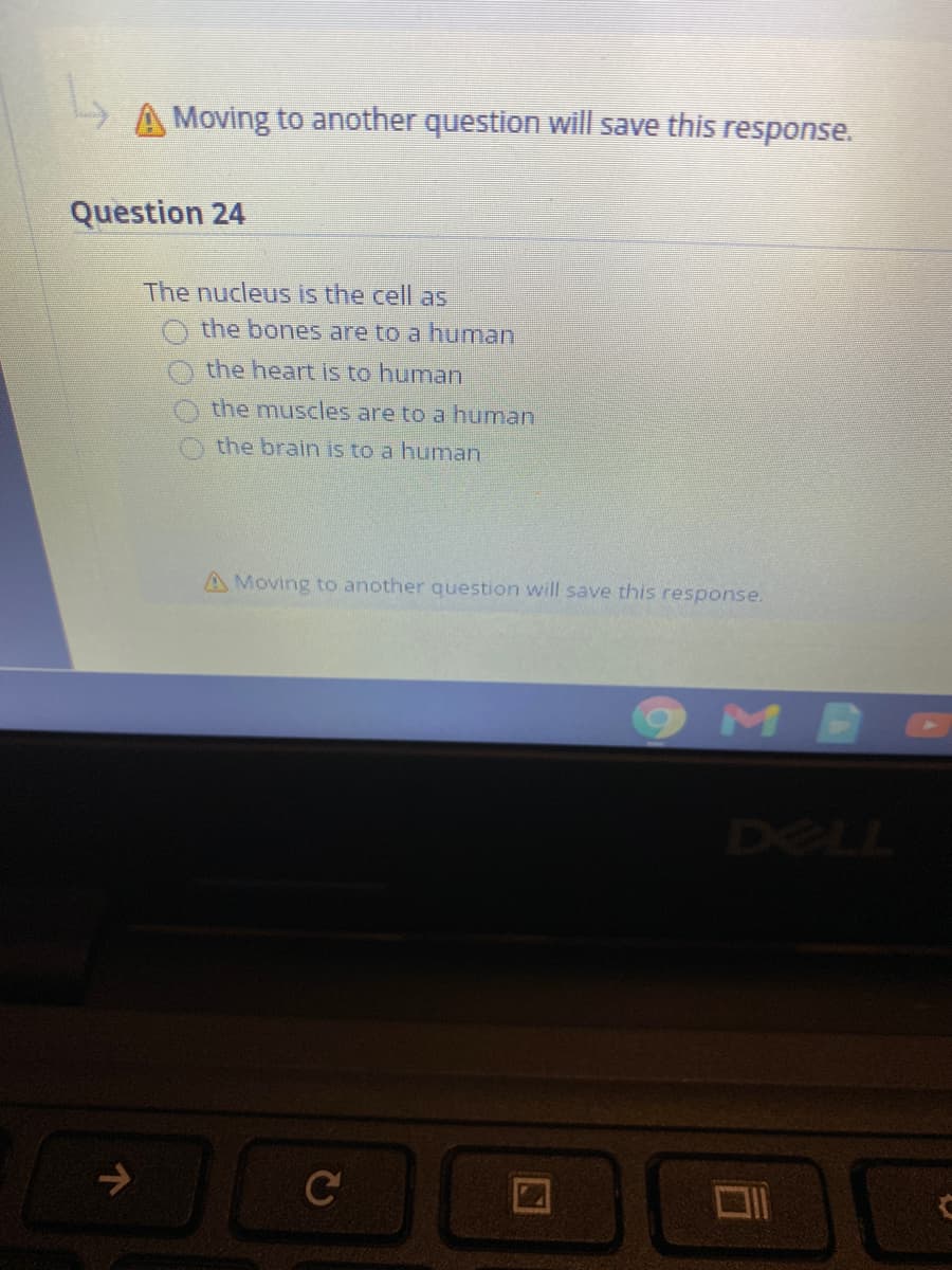 A Moving to another question will save this response.
Question 24
The nucleus is the cell as
O the bones are to a human
the heart is to human
the muscles are to a human
the brain is to a human
A Moving to another question will save this response.
->
