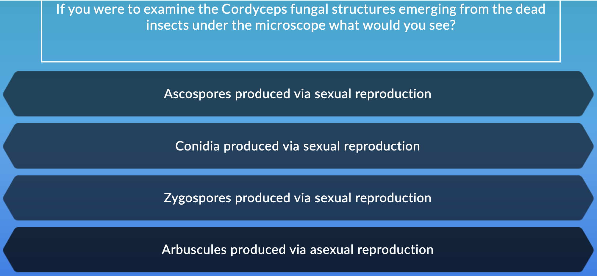 If you were to examine the Cordyceps fungal structures emerging from the dead
insects under the microscope what would you see?
Ascospores produced via sexual reproduction
Conidia produced via sexual reproduction
Zygospores produced via sexual reproduction
Arbuscules produced via asexual reproduction
