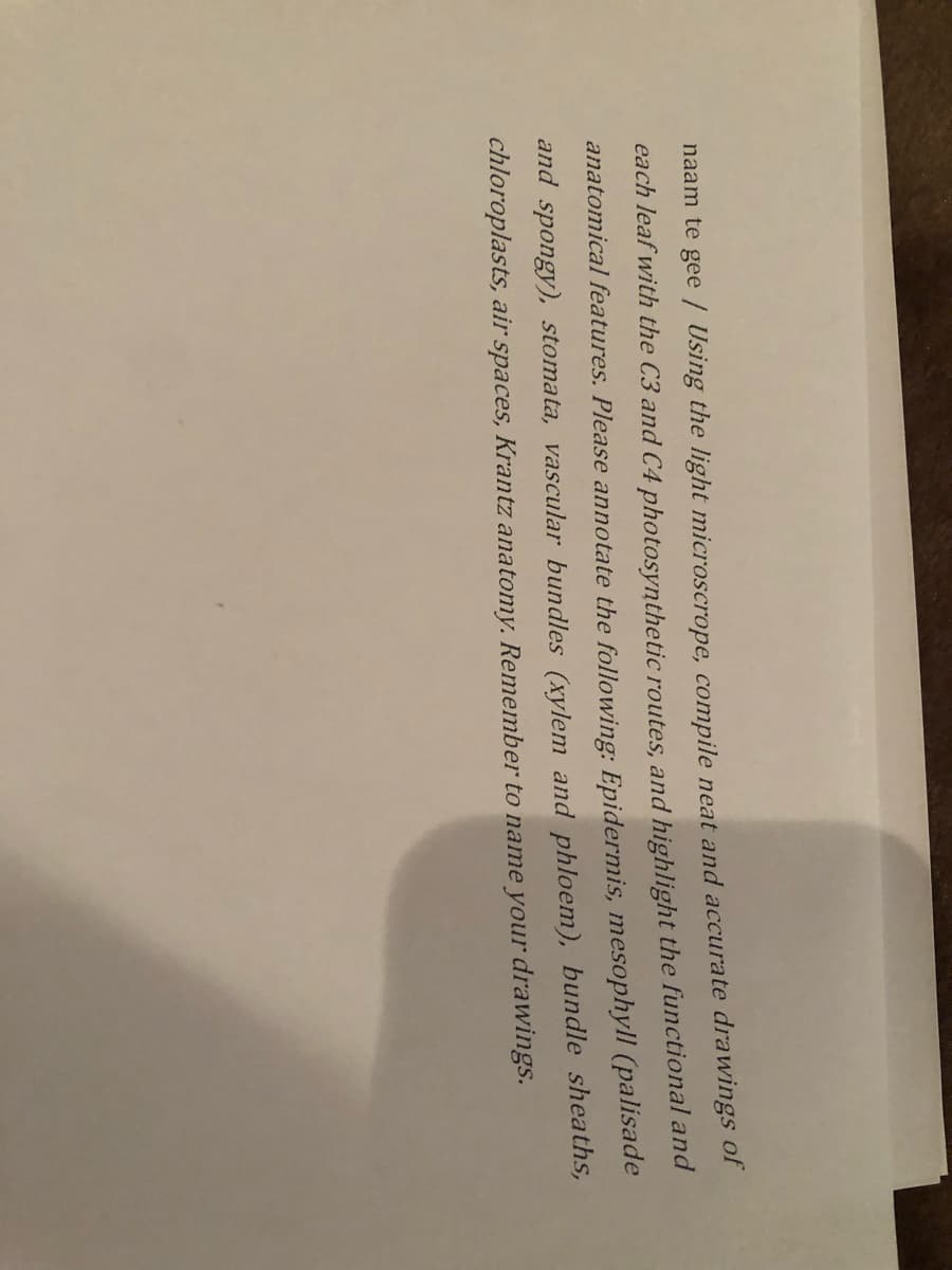naam te gee / Using the light microscrope, compile neat and accurate drawings of
each leaf with the C3 and C4 photosynthetic routes, and highlight the functional and
anatomical features. Please annotate the following: Epidermis, mesophyll (palisade
and spongy), stomata, vascular bundles (xylem and phloem), bundle sheaths,
chloroplasts, air spaces, Krantz anatomy. Remember to name your drawings.
