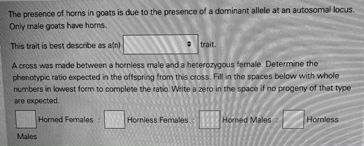 The presence of horns in goats is due to the presence of a dominant allele at an autosomal locus.
Only male goats have horns.
This trait is best describe as a(n)
: trait.
A cross was made between a hornless male and a heterozygous female. Determine the
phenotypic ratio expected in the offspring from this cross. Fill in the spaces below with whole
numbers in lowest form to complete the ratio. Write a zero in the space if no progeny of that type
are expected.
Horned Females:
Hornless Females
Horned Males:
Hornless
Males
