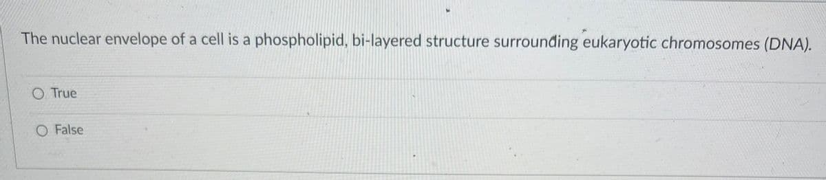 ### Quiz Question: Structure of the Nuclear Envelope

**Question:**
The nuclear envelope of a cell is a phospholipid, bi-layered structure surrounding eukaryotic chromosomes (DNA).

- O True
- O False