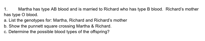 ### Genetics of Blood Types - Educational Outline

1. **Scenario:**
   - Martha has type AB blood and is married to Richard who has type B blood. Richard's mother has type O blood.

2. **Questions:**
   - **a. List the genotypes for:**
     - Martha: AB
     - Richard: BO (since his mother is OO and he has a B allele, he must have inherited an O allele from his mother)
     - Richard’s mother: OO
   
   - **b. Show the Punnett square crossing Martha & Richard:**
   
     The Punnett square involves Martha (AB) and Richard (BO).

     ```
         A     B
       _________________
     B |  AB  | BB  |
       ----------------
     O |  AO   | BO |
     ```

     **Explanation:**
     - An allele from Martha can either be A or B.
     - An allele from Richard can either be B or O.
     - The combinations in the Punnett square show the possible genotypes of their offspring.

   - **c. Determine the possible blood types of the offspring:**
     - AB (from A and B combination)
     - BB (from B and B combination, which is type B blood)
     - AO (from A and O combination, which is type A blood)
     - BO (from B and O combination, which is type B blood)

     Therefore, the possible blood types for the offspring are:
     - Type A
     - Type B
     - Type AB

### Summary
By using the genotypes of the parents (Martha and Richard) and the Punnett square, we can predict that their offspring may have blood types A, B, or AB.