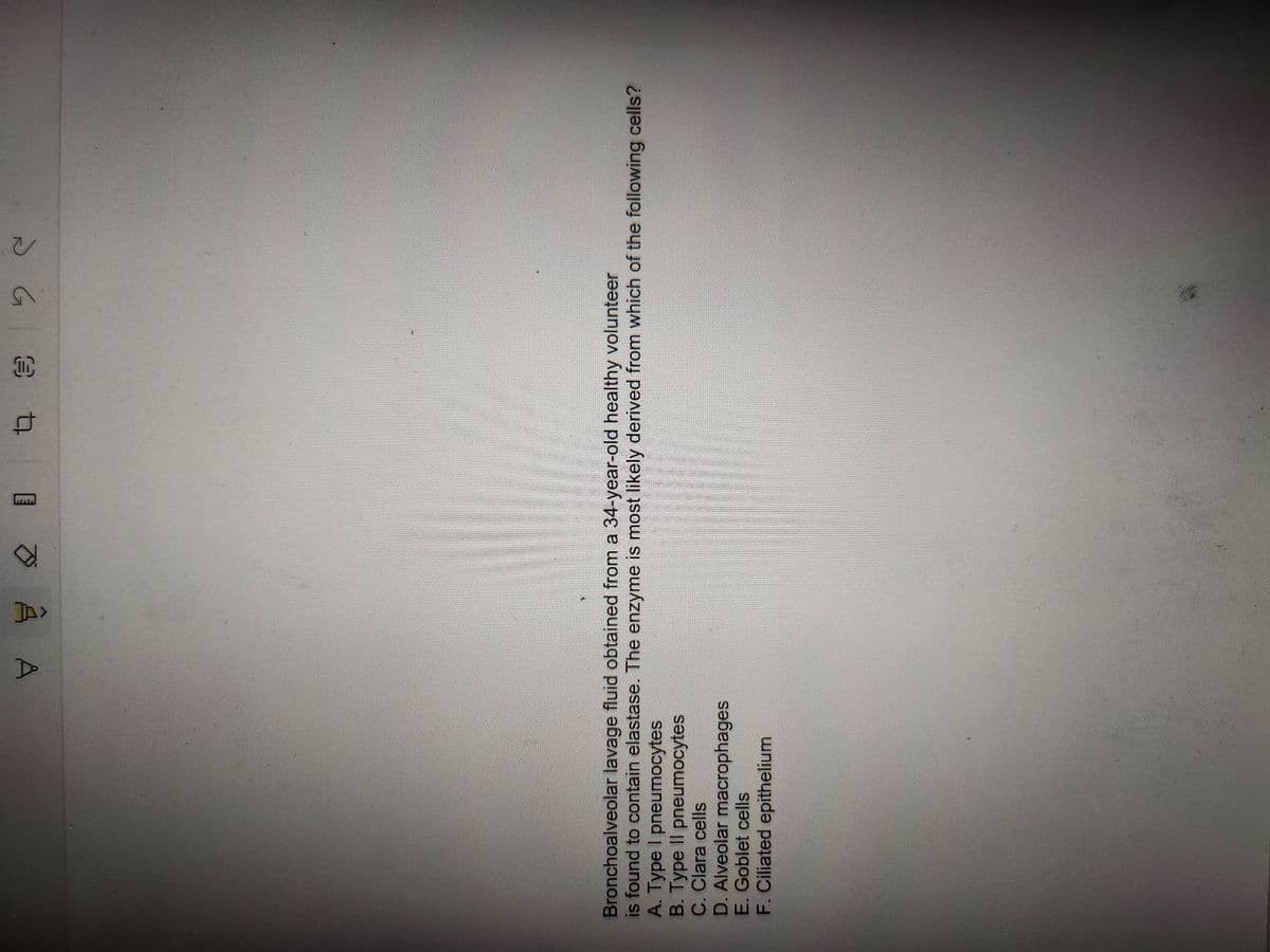 ㅂ 분
20 4 3
2
U
Bronchoalveolar lavage fluid obtained from a 34-year-old healthy volunteer
is found to contain elastase. The enzyme is most likely derived from which of the following cells?
A. Type I pneumocytes
B. Type Il pneumocytes
C. Clara cells
D. Alveolar macrophages
E. Goblet cells
F. Ciliated epithelium