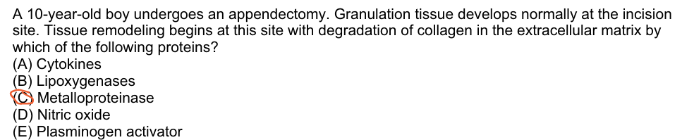 A 10-year-old boy undergoes an appendectomy. Granulation tissue develops normally at the incision
site. Tissue remodeling begins at this site with degradation of collagen in the extracellular matrix by
which of the following proteins?
(A) Cytokines
(B) Lipoxygenases
C Metalloproteinase
(D) Nitric oxide
(E) Plasminogen activator