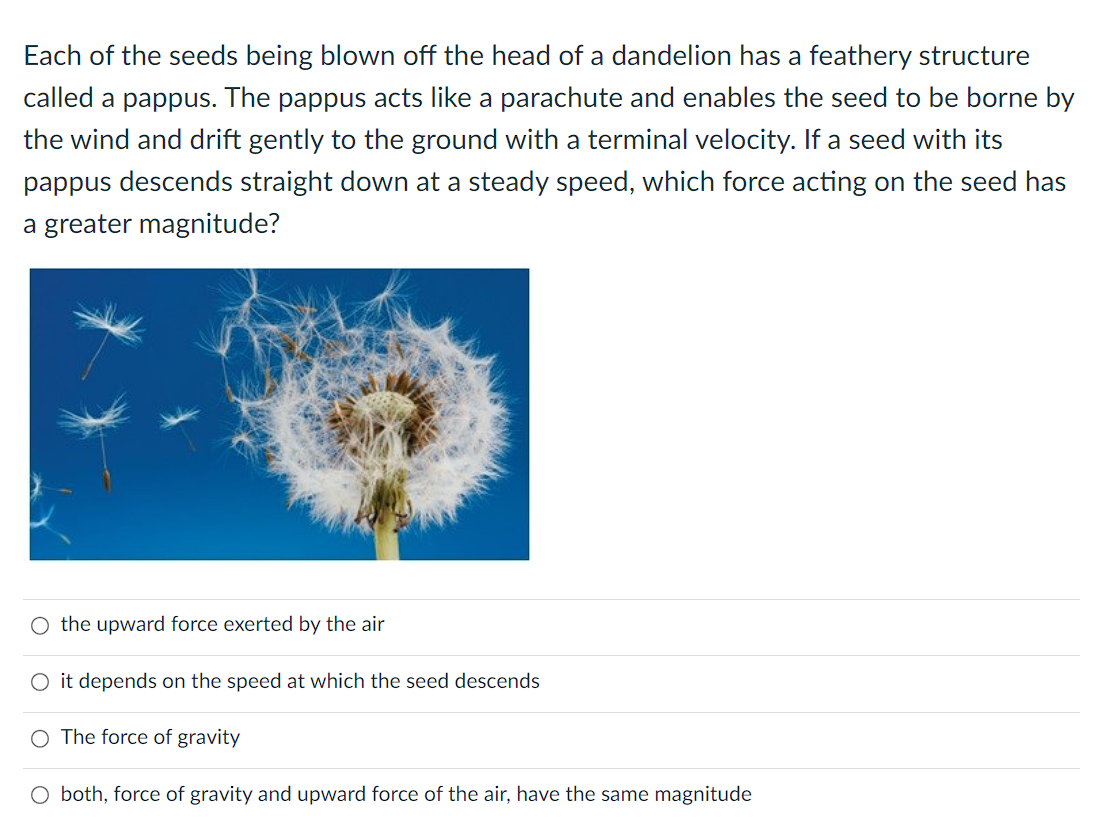 Each of the seeds being blown off the head of a dandelion has a feathery structure
called a pappus. The pappus acts like a parachute and enables the seed to be borne by
the wind and drift gently to the ground with a terminal velocity. If a seed with its
pappus descends straight down at a steady speed, which force acting on the seed has
a greater magnitude?
O the upward force exerted by the air
O it depends on the speed at which the seed descends
O The force of gravity
O both, force of gravity and upward force of the air, have the same magnitude