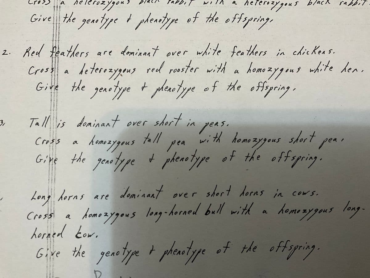 ack
Aelerozygon?
heternaygous
Cross
ous
WITA
blac
rabbit
Give the genotype t phenrtype of the offspring,
2. Red feathers
are dominant over white feathers in chicKen s.
ナ hite den.
Cross a deterezygous red rooster withA
deterozygeng red roster with a homezygouns white hen,
Give the genotype t phenetype of the offepring.
geano
plenstype
3,
Tall is ever short in
doninant
peas,
vith homozygous
toll
short pea
Cross
homo:
ジpous
pea
a
genotype
+ pheaotype of the offspring.
Gine the
Long
dominan
shert dorns in cows.
herns are
over
domozygous long-horaed bull with a
homozygous
long-
home
IN
Crossi a
horned
heraed tow.
Give the geaotype t phenetype
of the offspring.

