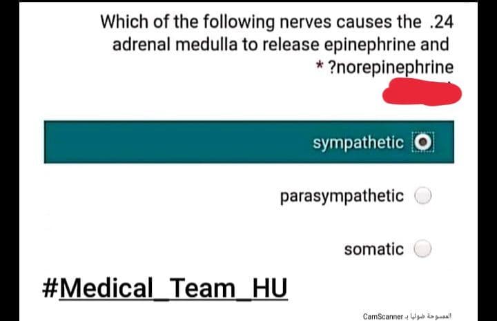 Which of the following nerves causes the .24
adrenal medulla to release epinephrine and
* ?norepinephrine
sympathetic O
parasympathetic
somatic
#Medical Team HU
CamScanner W da gunnall
