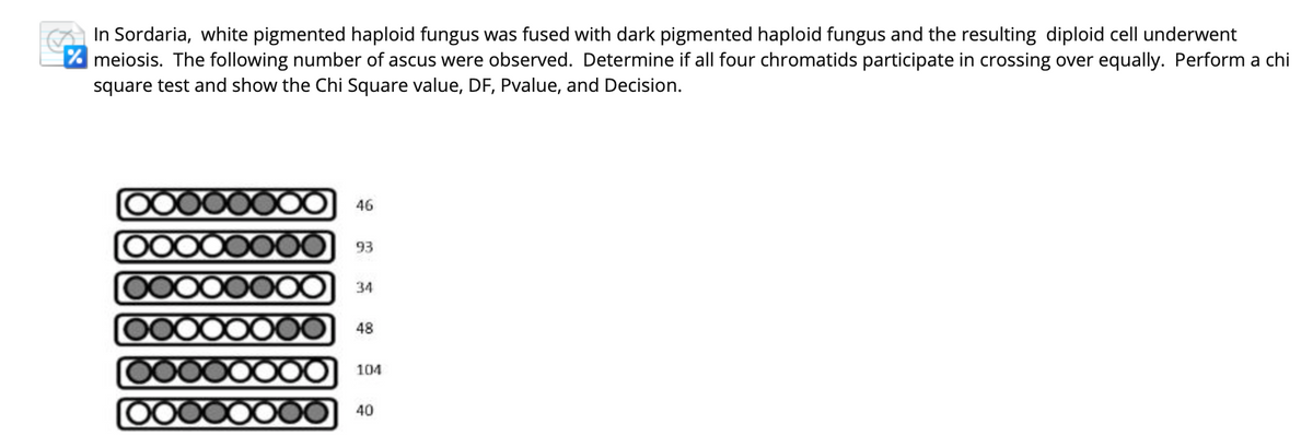 In Sordaria, white pigmented haploid fungus was fused with dark pigmented haploid fungus and the resulting diploid cell underwent
% meiosis. The following number of ascus were observed. Determine if all four chromatids participate in crossing over equally. Perform a chi
square test and show the Chi Square value, DF, Pvalue, and Decision.
46
93
34
48
104
40
