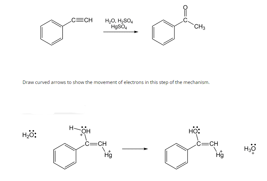 C=CH
H₂O:
H₂O, H₂SO4
HgSO4
Draw curved arrows to show the movement of electrons in this step of the mechanism.
H-OH
C=CH
1
CH3
Hg
HO:
C=CH
1
Hg
H3O
+