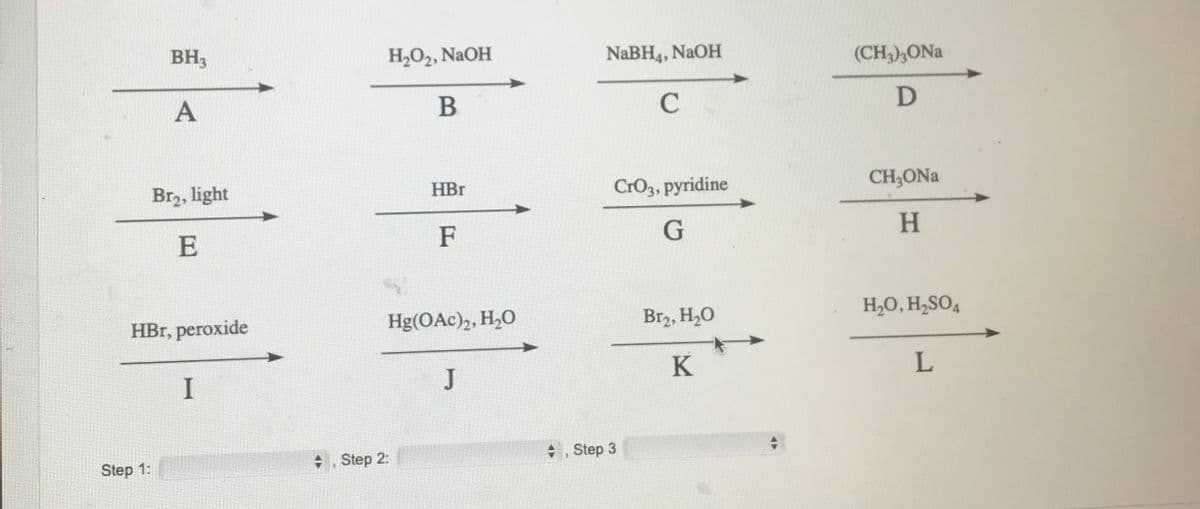 BH3
A
Step 1:
Br₂, light
E
HBr, peroxide
I
+
H₂O₂, NaOH
B
Step 2:
HBr
F
Hg(OAc)2, H₂O
J
NaBH4, NaOH
с
CrO3, pyridine
G
+, Step 3
Br₂, H₂O
K
(CH3)3ONa
D
CH₂ONa
H
H₂O, H₂SO4
L