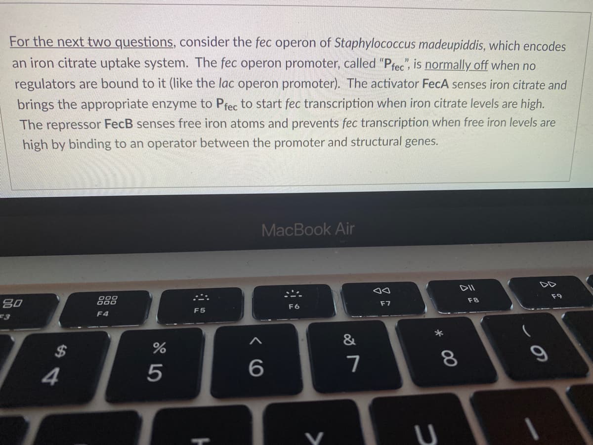 **Understanding the fec Operon in Staphylococcus madeupiddis**

_For the next two questions, consider the fec operon of Staphylococcus madeupiddis, which encodes an iron citrate uptake system. The fec operon promoter, called "P<sub>fec</sub>", is normally off when no regulators are bound to it (like the lac operon promoter). The activator FecA senses iron citrate and brings the appropriate enzyme to P<sub>fec</sub> to start fec transcription when iron citrate levels are high. The repressor FecB senses free iron atoms and prevents fec transcription when free iron levels are high by binding to an operator between the promoter and structural genes._

### Key Points to Note:
- **fec Operon**: A genetic system dedicated to the uptake of iron citrate in Staphylococcus madeupiddis.
- **P<sub>fec</sub> Promoter**: This promoter initiates transcription but remains inactive (off) unless regulated by specific proteins.
- **Activator (FecA)**: This protein detects the presence of iron citrate and activates the transcription process when iron citrate is in abundance.
- **Repressor (FecB)**: This protein detects the presence of free iron and stops the transcription process, ensuring that transcription occurs only when necessary.

### Mechanism Overview:
1. **Low Iron Citrate Conditions**: When iron citrate levels are low, FecA does not activate the fec operon, and transcription is off.
2. **High Iron Citrate Conditions**: When iron citrate is detected by FecA, it activates the P<sub>fec</sub> promoter, starting fec operon transcription to uptake iron citrate.
3. **High Free Iron Levels**: FecB senses free iron atoms and binds to an operator site, thereby repressing the P<sub>fec</sub> promoter and preventing unnecessary transcription.

This mechanism ensures that Staphylococcus madeupiddis efficiently regulates its iron citrate uptake based on the availability of iron in its environment. The interplay between the activator (FecA) and repressor (FecB) proteins is crucial for maintaining iron homeostasis within the cell.