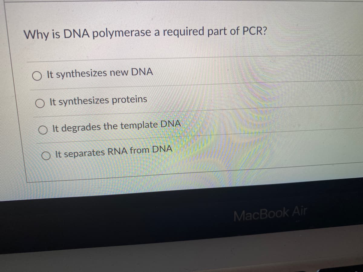Why is DNA polymerase a required part of PCR?
O It synthesizes new DNA
O It synthesizes proteins
O It degrades the template DNA
O It separates RNA from DNA
MacBook Air
