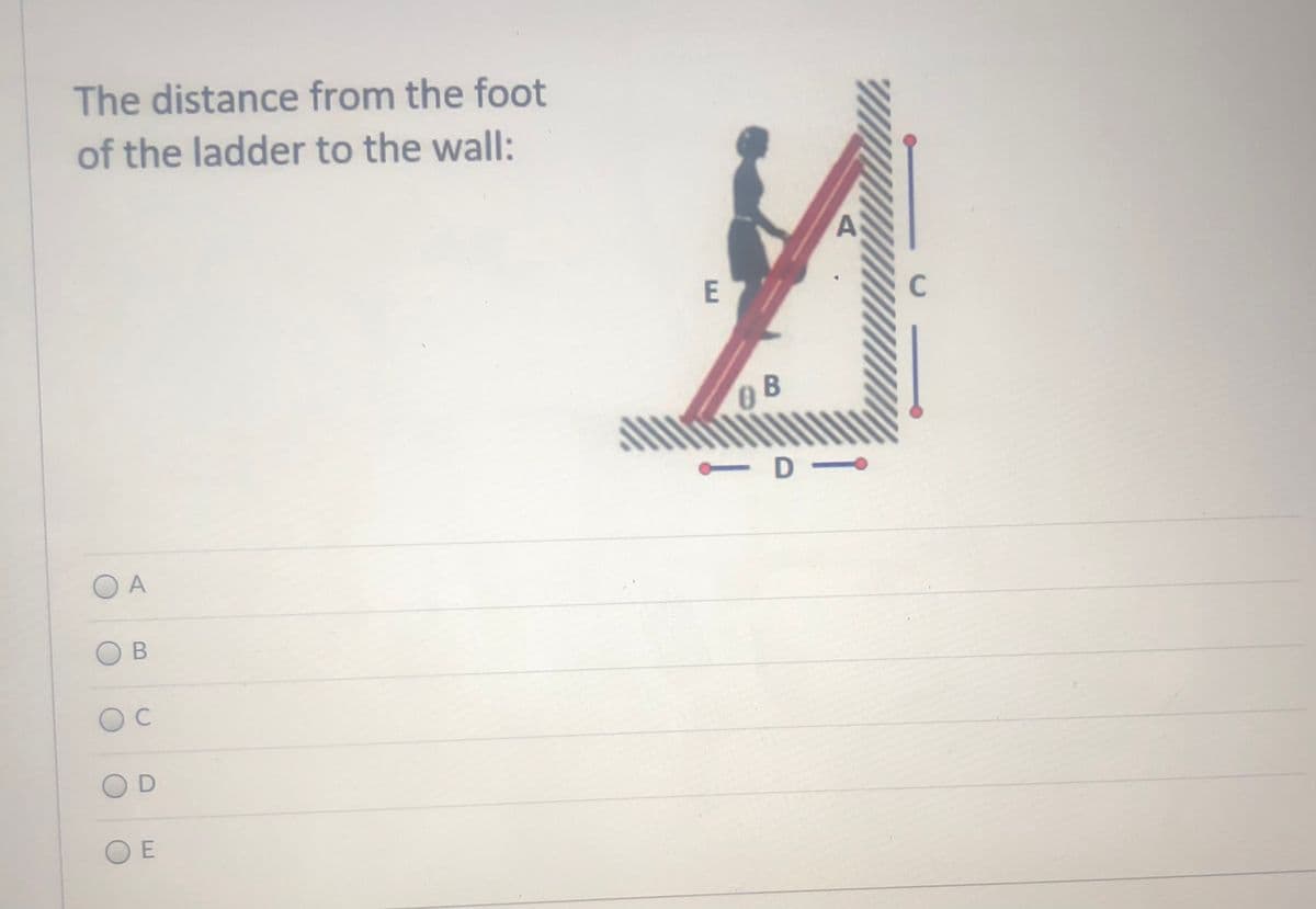 The distance from the foot
of the ladder to the wall:
B
D-
O A
OD
O E
