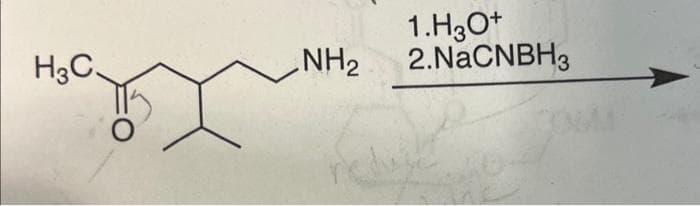 H3C.
NH₂
1.H3O+
2.NaCNBH3