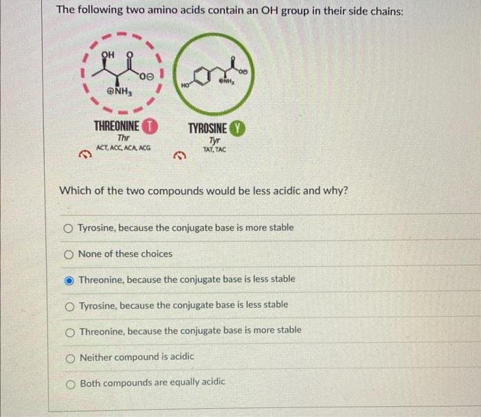 The following two amino acids contain an OH group in their side chains:
33
ONH₂
00
THREONINE T
Thr
ACT, ACC, ACA, ACG
3
ONH₂
TYROSINE Y
Tyr
TAT, TAC
Which of the two compounds would be less acidic and why?
O Tyrosine, because the conjugate base is more stable
O None of these choices
Threonine, because the conjugate base is less stable
O Tyrosine, because the conjugate base is less stable
O Threonine, because the conjugate base is more stable
O Neither compound is acidic
O Both compounds are equally acidic