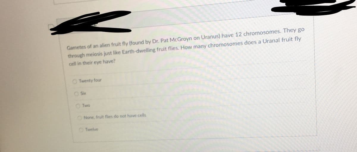 Gametes of an alien fruit fly (found by Dr. Pat McGroyn on Uranus) have 12 chromosomes. They go
through meiosis just like Earth-dwelling fruit flies. How many chromosomes does a Uranal fruit fly
cell in their eye have?
O Twenty four
O Six
O Two
ONone, fruit flies do not have cells
O Twelve
