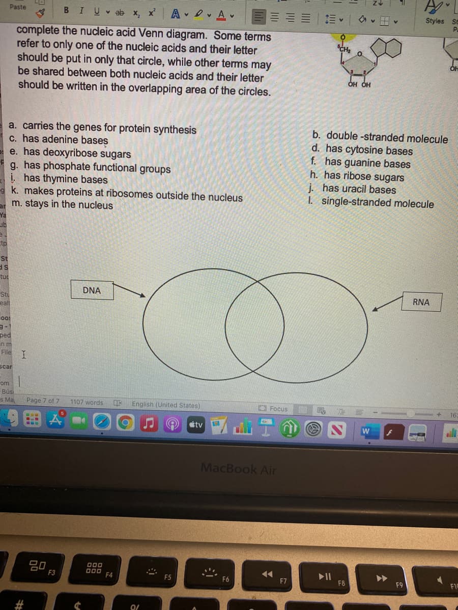 Paste
BIU ab x, x
A Av
三v
Styles St
Pa
complete the nucleic acid Venn diagram. Some terms
refer to only one of the nucleic acids and their letter
should be put in only that circle, while other terms may
be shared between both nucleic acids and their letter
should be written in the overlapping area of the circles.
CH,
ÓH ÓH
a. carries the genes for protein synthesis
c. has adenine bases
e. has deoxyribose sugars
g. has phosphate functional groups
į. has thymine bases
g k. makes proteins at ribosomes outside the nucleus
m. stays in the nucleus
b. double -stranded molecule
d. has cytosine bases
f. has guanine bases
h. has ribose sugars
j. has uracil bases
I. single-stranded molecule
ar
Ya
ub
tp
St
SF
tuc
DNA
Stu
ealt
RNA
los
ped
in m
File
scar
om
Búsi
s Ma
Page 7 of 7
1107 words
English (United States)
O Focus
163
tv
MacBook Air
20
F3
000
F4
F5
F7
F8
F9
F10
