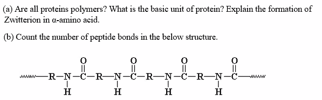 (a) Are all proteins polymers? What is the basie unit of protein? Explain the formation of
Zwitterion in a-amino acid.
(b) Count the number of peptide bonds in the below structure.
-R-N-C-R-N-C-R-N-C-R-N-C-
wwww
H
H
H
H
