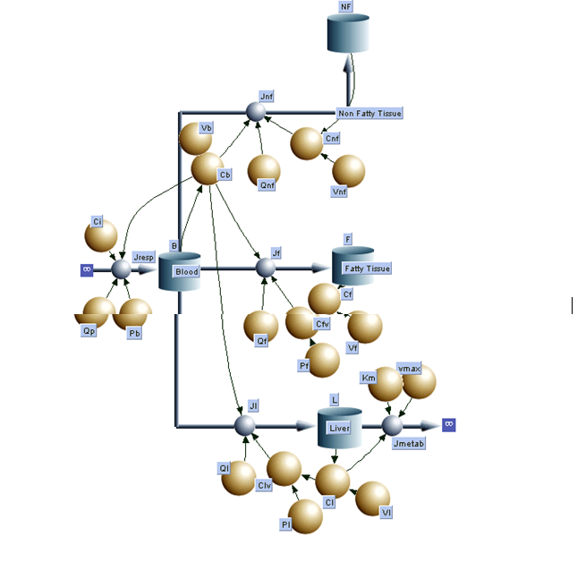 Ci
Qp
Jresp
Pb
Blood
Vb
Cb
QI
Jnf
Qnf
Qf
Clv
PI
Pf
Cnf
Ctv
NF
Non Fatty Tissue
Vnf
CI
L
Fatty Tissue
Vf
Liver
Km
VI
vmax
Jmetab
1