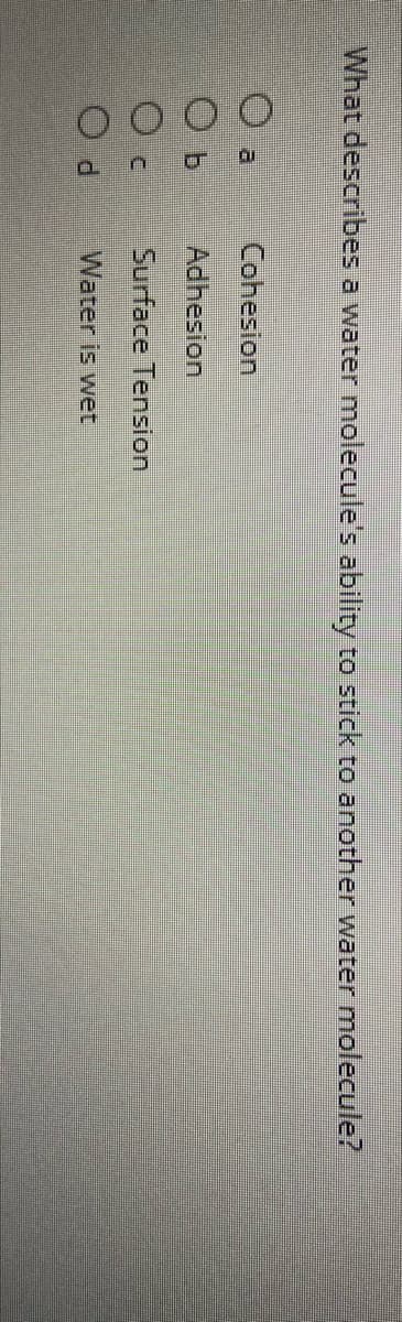 O O O 0
What describes a water molecule's ability to stick to another water molecule?
a
Cohesion
Adhesion
Surface Tension
Water is wet
