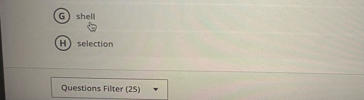 G shell
H selection
Questions Filter (25)

