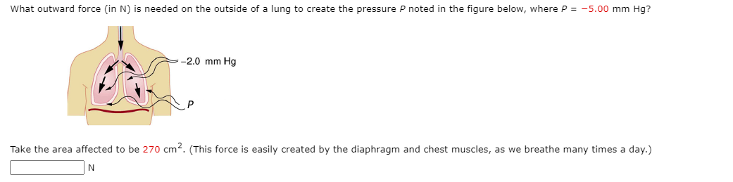 What outward force (in N) is needed on the outside of a lung to create the pressure P noted in the figure below, where P = -5.00 mm Hg?
-2.0 mm Hg
Take the area affected to be 270 cm2. (This force is easily created by the diaphragm and chest muscles, as we breathe many times a day.)
