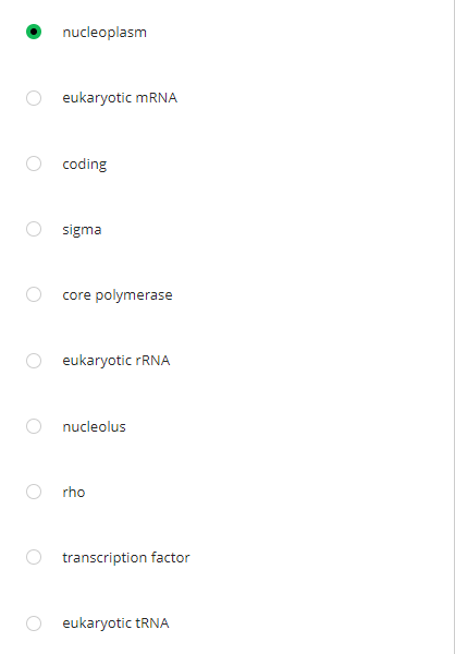 nucleoplasm
eukaryotic MRNA
coding
sigma
core polymerase
eukaryotic RNA
nucleolus
rho
transcription factor
eukaryotic RNA
