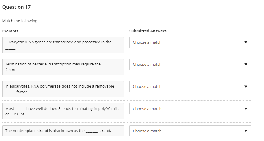 Question 17
Match the following
Prompts
Submitted Answers
Eukaryotic rRNA genes are transcribed and processed in the
Choose a match
Termination of bacterial transcription may require the
Choose a match
factor.
In eukaryotes, RNA polymerase does not include a removable
Choose a match
factor.
Most
have well defined 3' ends terminating in poly(A) tails
Choose a match
of - 250 nt.
The nontemplate strand is also known as the
strand.
Choose a match
