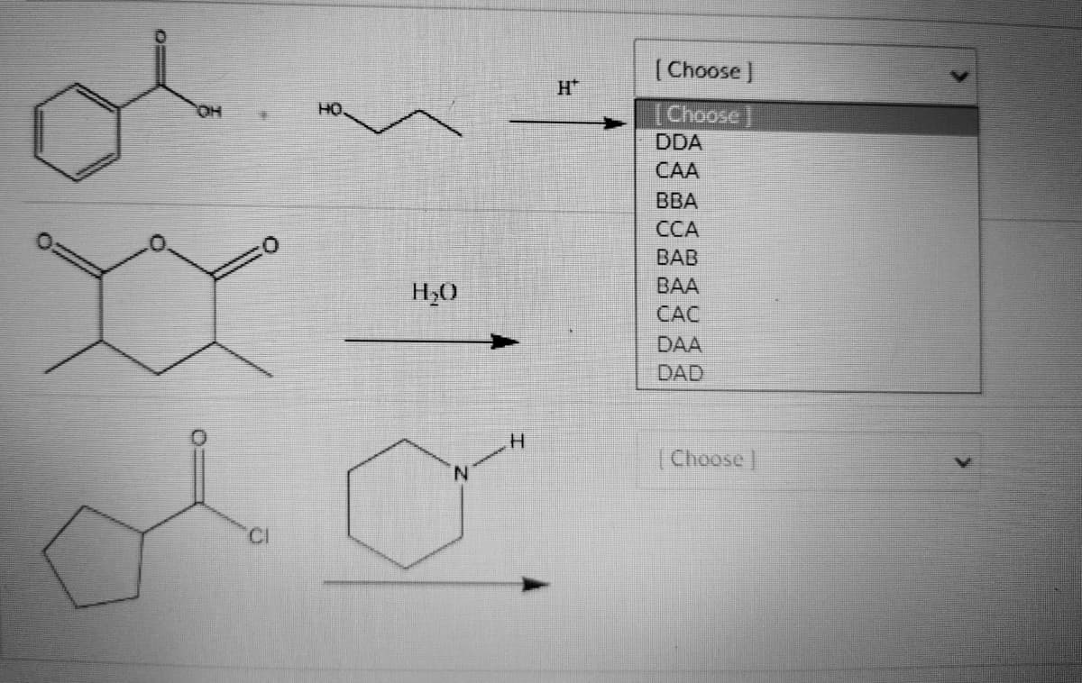 OH
HO.
H₂O
N
www
H
[Choose]
[Choose
DDA
CAA
BBA
CCA
BAB
BAA
CAC
DAA
DAD
[Choose ]