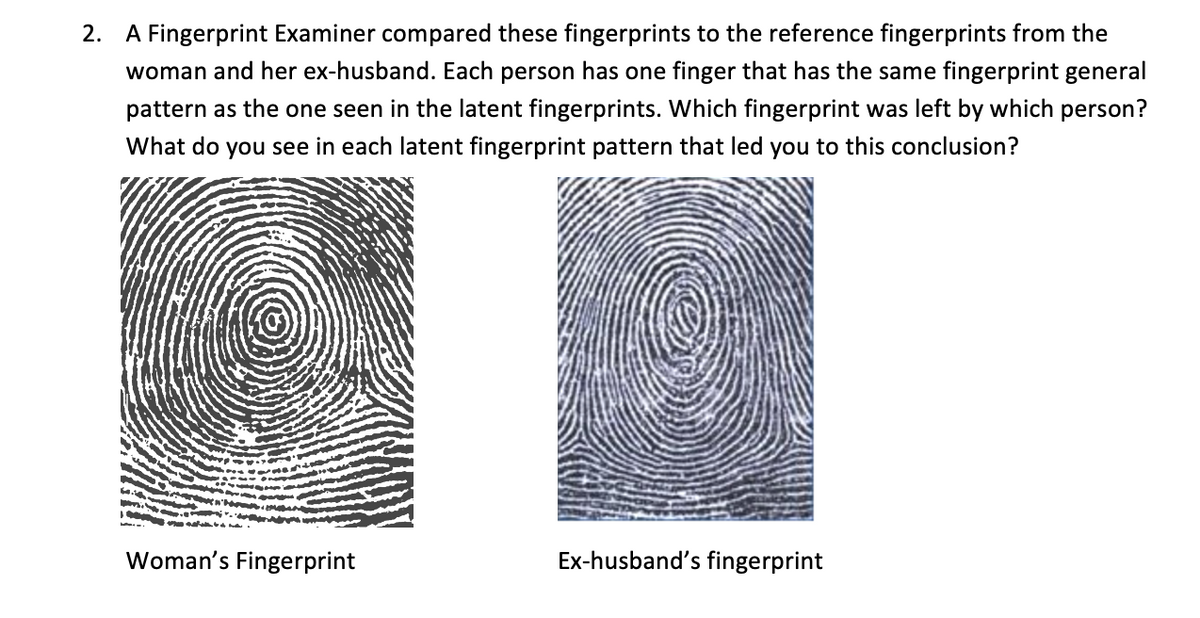 2. A Fingerprint Examiner compared these fingerprints to the reference fingerprints from the
woman and her ex-husband. Each person has one finger that has the same fingerprint general
pattern as the one seen in the latent fingerprints. Which fingerprint was left by which person?
What do you see in each latent fingerprint pattern that led you to this conclusion?
Woman's Fingerprint
Ex-husband's fingerprint