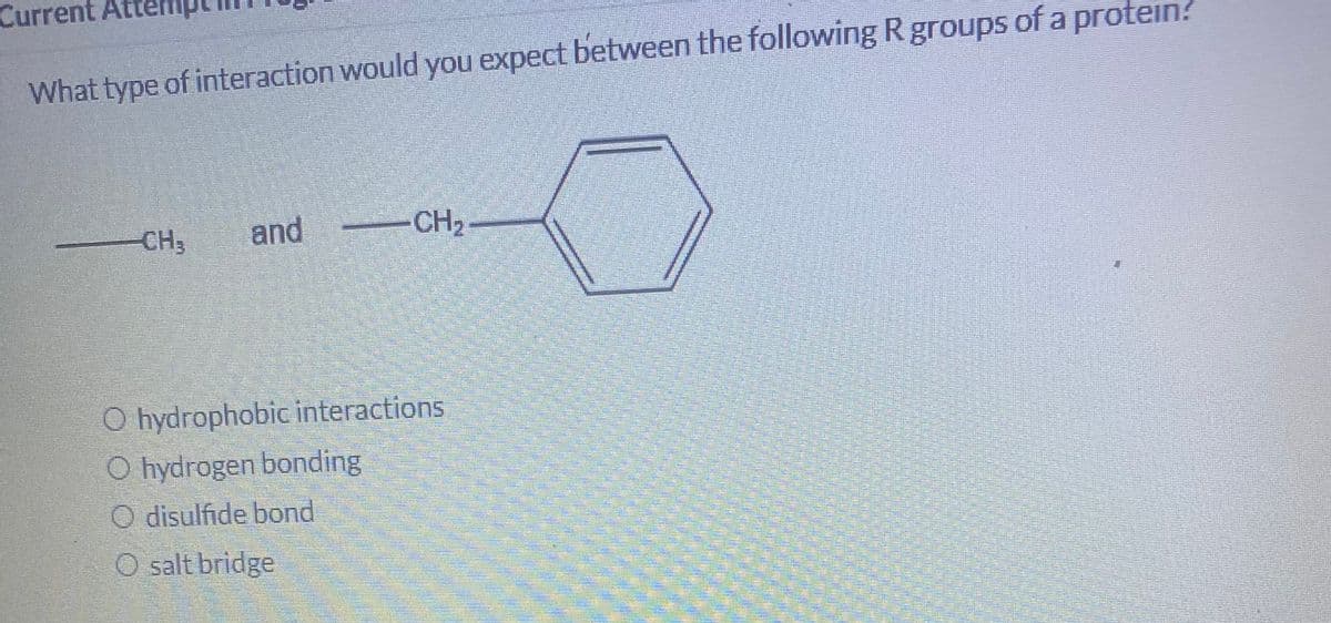 Current
What type of interaction would you expect between the following R groups of a protein?
CH3
and CH2
O hydrophobic interactions
O hydrogen bonding
O disulfide bond
O salt bridge
